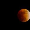 Lunar Eclipse