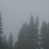 fog