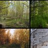 four_seasons