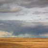 prairie